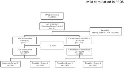 Cumulative live birth rate in mild versus conventional stimulation in progestin-primed ovarian stimulation protocols for individuals with low prognosis